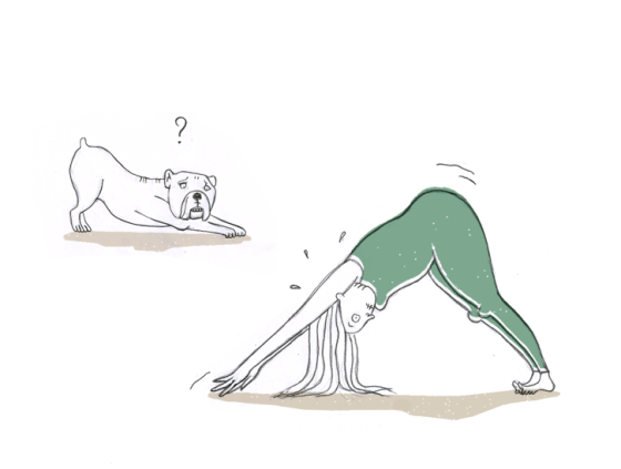 yoga downward facing dog by ellen vesters
