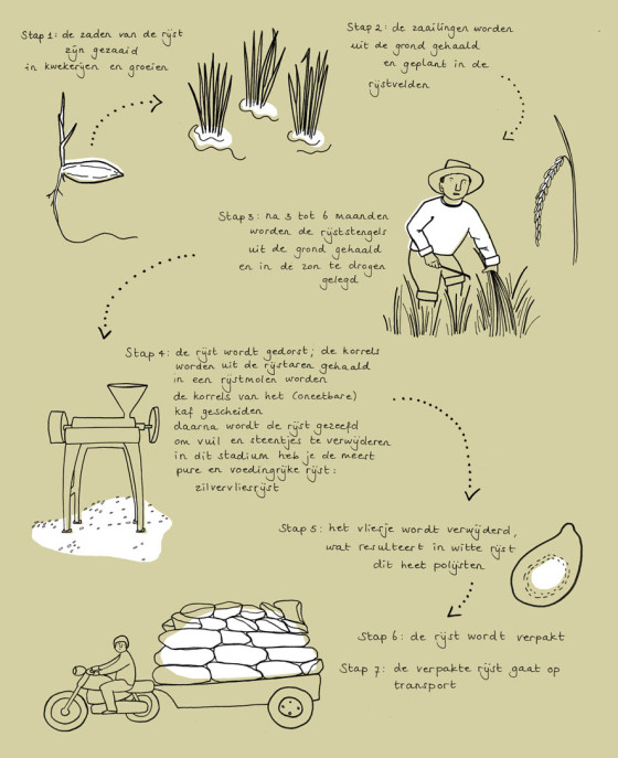 groene garde cookbook sustainability cycle of rice ellen vesters illustrator graphic designer